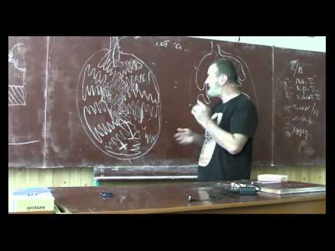 Видео: Драконоведение. Часть 2