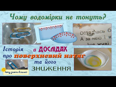 Видео: Чому водомірки не тонуть? (Історія в дослідах про поверхневий натяг)