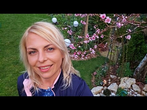 Видео: ПОДРЯЗВАНЕ на ПРАСКОВИ