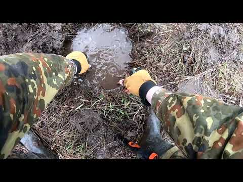 Видео: Братья! и Сестры!....   АКА  Интроник.. Реальный коп..