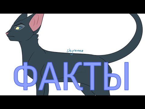 Видео: Факты о Граче|«Коты-Воители»