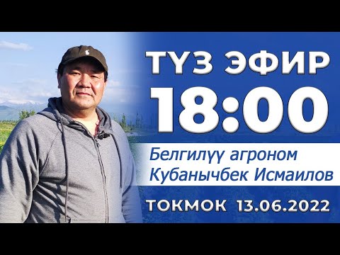 Видео: Көчөт Кантип Өстүрүү