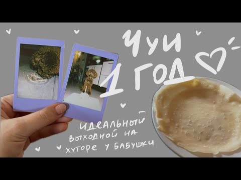 Видео: Чуи исполнился год. Идеальный выходной на хуторе у бабушки с дедушкой.