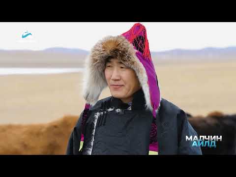 Видео: ᠌᠌[ Малчин айлд ] нэвтрүүлэг #42 Дорнод аймгийн Баяндун сумын засаг дарга Б.Батхүү