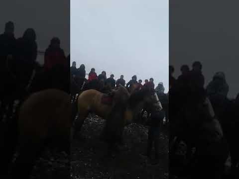 Видео: Алайлык Сейдалы иниси баяман балбан