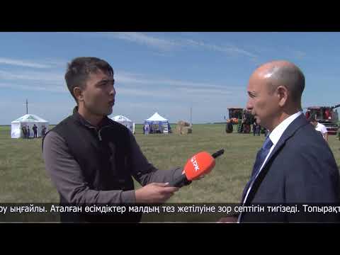Видео: Дайындық ауылында өңір диқандарының біліктілігін арттыруға арналған семинар өтті