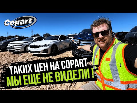 Видео: Обзор Последнего Поступления Битых Авто на Закрытом Аукционе в США! Copart