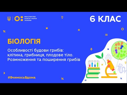 Видео: 6 клас. Біологія. Особливості будови грибів. Розмноження та поширення грибів (Тиж.7:ЧТ)