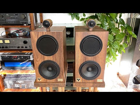 Видео: Пришло время СЛОМАТЬ ШАБЛОНЫ! AcousticLand Model M