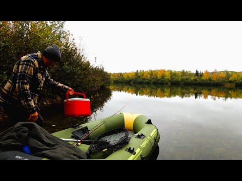 Видео: Рыбалка.Первый снег.Первые морозы.