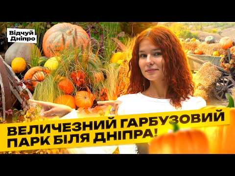 Видео: Осінь у Дніпрі: де природа малює найяскравіші барви 🍁