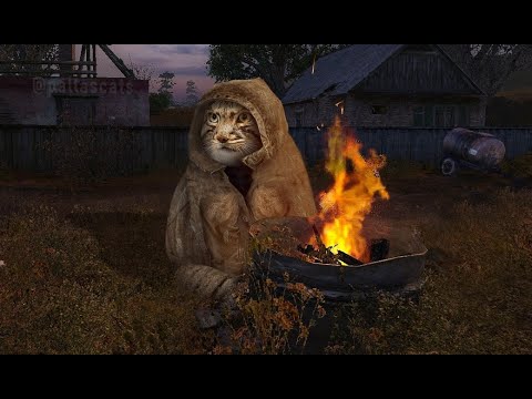 Видео: О чём был Stalker Anomaly