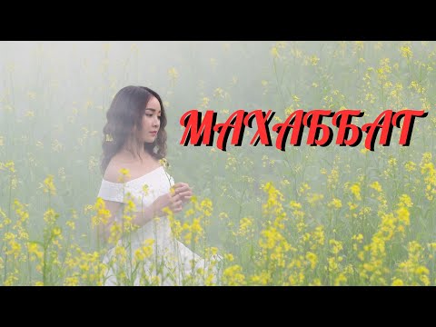 Видео: МАХАББАТ / Сайын Мұратбеков