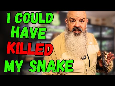 Видео: Я совершил столько ошибок в содержании змей! Вот список.