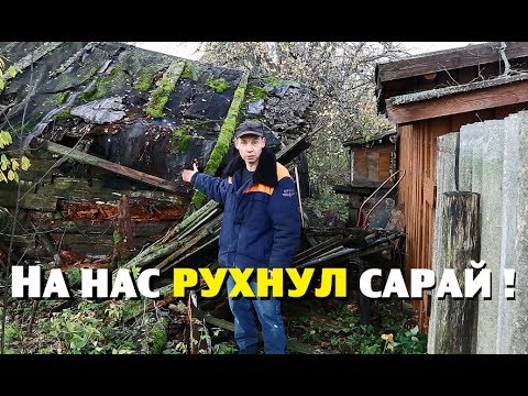 Видео: Последние огородные судороги и рухнувший сарай!