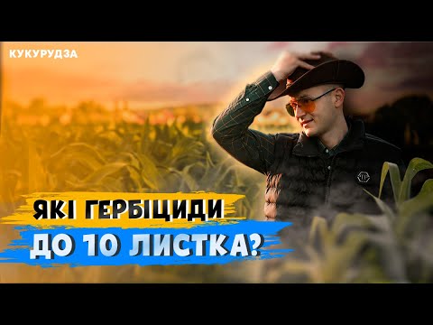 Видео: 🤯ЗАРОСЛА кукурудза 🌽🌽🌽 ГЕРБІЦИДИ ДО 10 ЛИСТКА 🤘