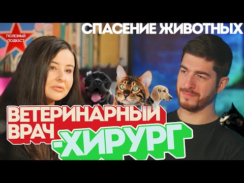 Видео: Спасение животных и закулисье ветеринарии. Константин Еремеев в Полезном Подкасте.