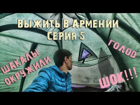 Видео: Шок! Это ШАКАЛЫ братан !!!