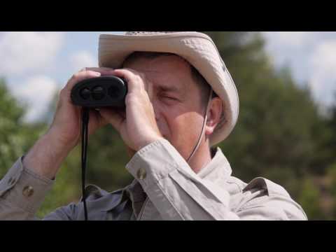 Видео: Рыболовные расследования. Сезон 2. Твистер или виброхвост — какую приманку можно забросить дальше?