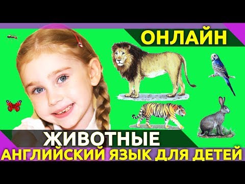Видео: ⭐ Учим английский язык.🙉 Животные на английском языке. 25 карточек Домана по-английски для детей👍