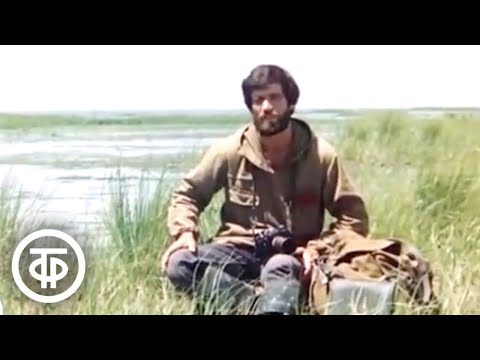 Видео: Озерная быль (1985)