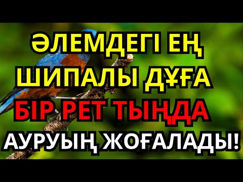 Видео: Құдіретті шипалы дұға! Бір рет тыңдасаң жеткілікті – Алланың қалауымен денең сау болады!