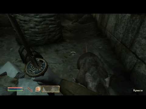 Видео: Oblivion 01 На волю