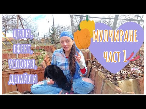 Видео: Мулчиране. Какво означа мулч? Защо да се мулчира, предимства. Условия за мулчиране, цели и ефект