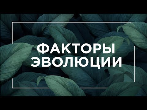 Видео: Факторы эволюции | ЕГЭ Биология | Даниил Дарвин