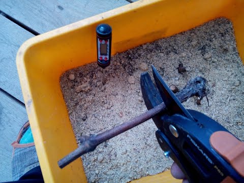 Видео: Укоренение черенков винограда. Работа над ошибками. Архив 2018