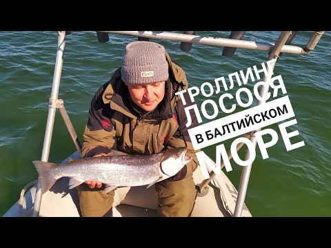 Видео: Троллинг лосося в Балтийском море. Ловля Балтийского лосося. Рыбалка в Калининграде. Сёмга. Лосось.