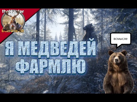 Видео: Охота на Мишаню