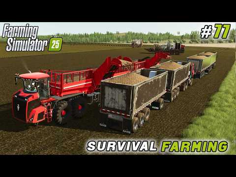 Видео: Сбор картофеля, новый завод и расширение виноградника | Farming Simulator 25 | Survival Farming |...