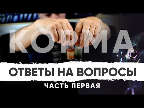 Видео: Ответы на ВАШИ вопросы. Часть 1