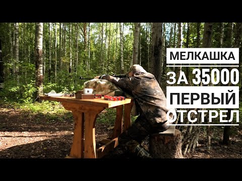 Видео: Мелкашка 22лр ТОЗ-78-04м первый отстрел/пристрелка.