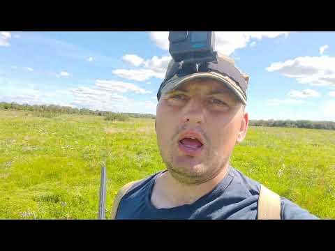 Видео: Охота с подхода. БЕЛАРУСЬ 2025.