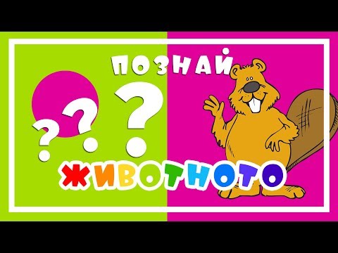 Видео: ПОЗНАЙ ЖИВОТНОТО (3) - динозавър 🦕, слонче 🐘, калинка 🐞, мече 🐻, пиленце 🐥 + още животни...