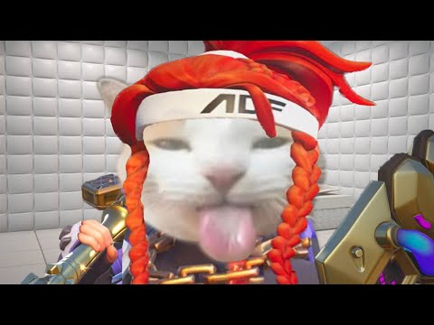 Видео: silly видео по овервотчу для silly people