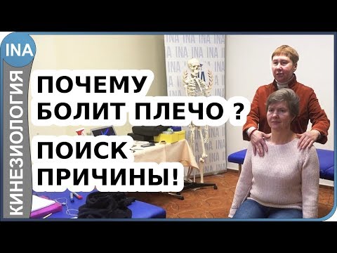 Видео: Боль в плечевом суставе. Поиск причины. Проф. Васильева. Прикладная кинезиология