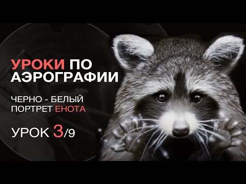 Видео: Курс по аэрографии. Черно - белый портрет енота. Часть 3/9. Уроки аэрографии - Дмитрий Осокин
