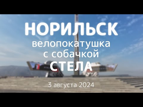 Видео: Велопокатушка с собачкой по Норильску. Стела. 3 августа 2024.