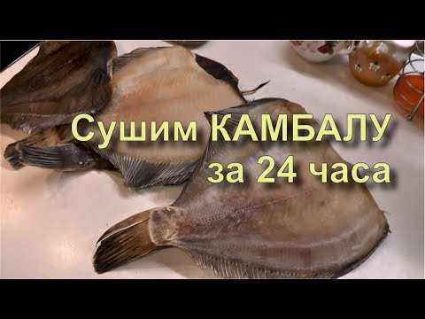 Видео: ✅ Камбала Ёрш Вяленая к Пиву. Быстро, Вкусно и Просто Рецепт