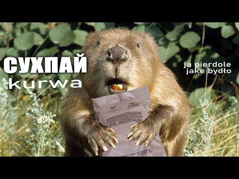Видео: Польський сухпай | Polish MRE.