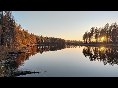 Видео: Большой Ермалович, плюс ништички для эндуры 