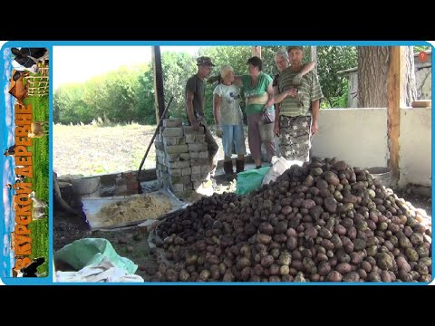 Видео: С ОДНОГО ОГОРОДА НА ДРУГОЙ, КОПАЕМ КАРТОШКУ ДВУМЯ МОТОБЛОКАМИ