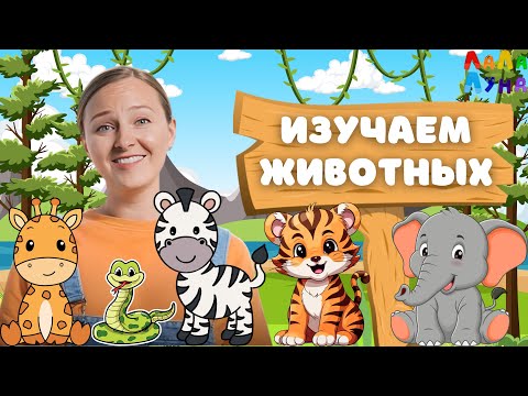 Видео: СБОРНИК - Развивающие Песенки Про Животных Для Детей #детскиепесни #детям