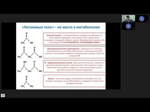 Видео: Кетоацидоз в ОРИТ Афончиков В.С.