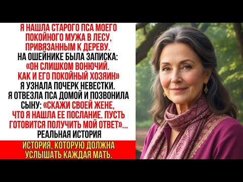 Видео: Я нашла пса мужа в лесу, умирающего. Жена моего сына оставила записку: «Следующая — ты…»