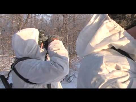 Видео: Зимняя охота на тетерева и лису в Ивановской области