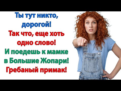 Видео: Собрали вещи и пулей в гостиницу! И это существо можете с собой забрать! Сказала невестка свекрови